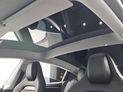 2024 Tesla MODEL 3 缩略图 30
