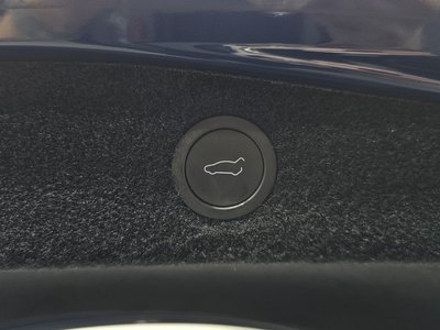 2024 Tesla MODEL 3 缩略图 32