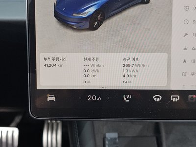 2024 Tesla MODEL 3 缩略图 11