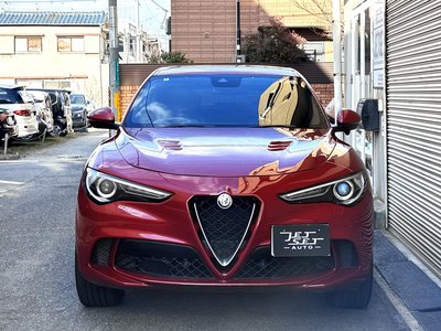 2019 ALFA Romeo STELVIO 照片 6