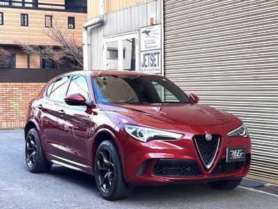 2019 ALFA Romeo STELVIO 照片 1