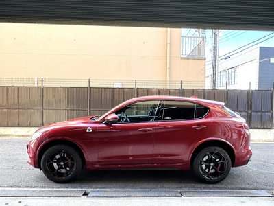 2019 ALFA Romeo STELVIO 照片 5