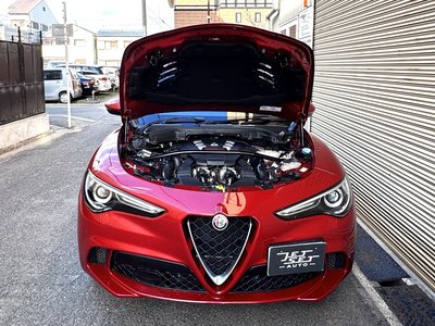 صورة مصغرة 13 لـ 2019 ALFA Romeo STELVIO