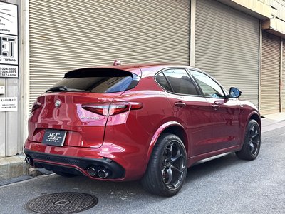2019 ALFA Romeo STELVIO 照片 2