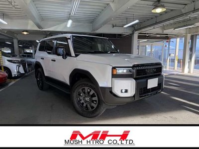 TOYOTA LAND CRUISER 250 - 1