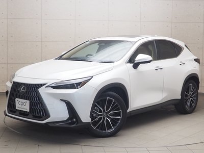 LEXUS NX - 1