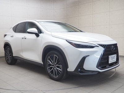 LEXUS NX - 8