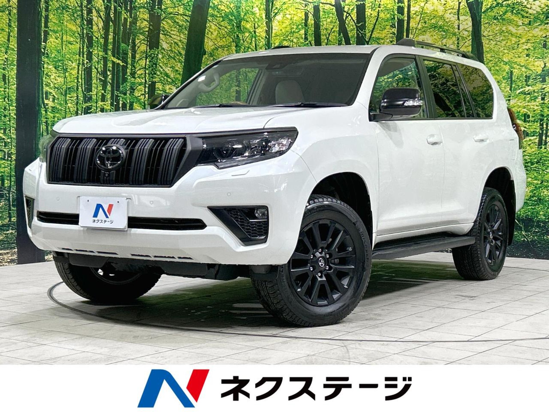 TOYOTA LAND CRUISER PRADO - View 1