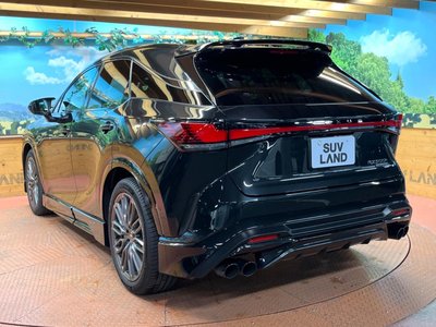 صورة مصغرة 55 لـ 2024 Lexus RX