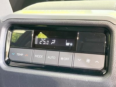 2025 Toyota LAND CRUISER 250 缩略图 73