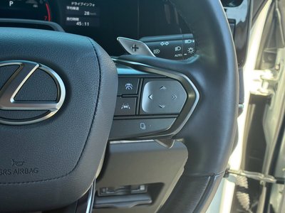 صورة مصغرة 42 لـ 2024 Lexus LM