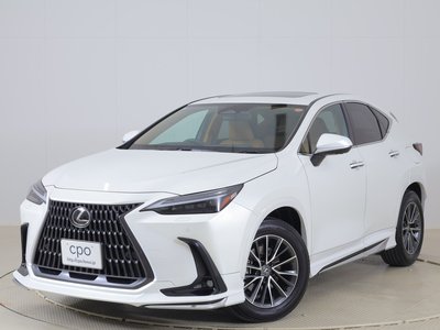 LEXUS NX - 1