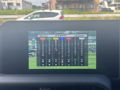 2024 Toyota LAND CRUISER 250 缩略图 19
