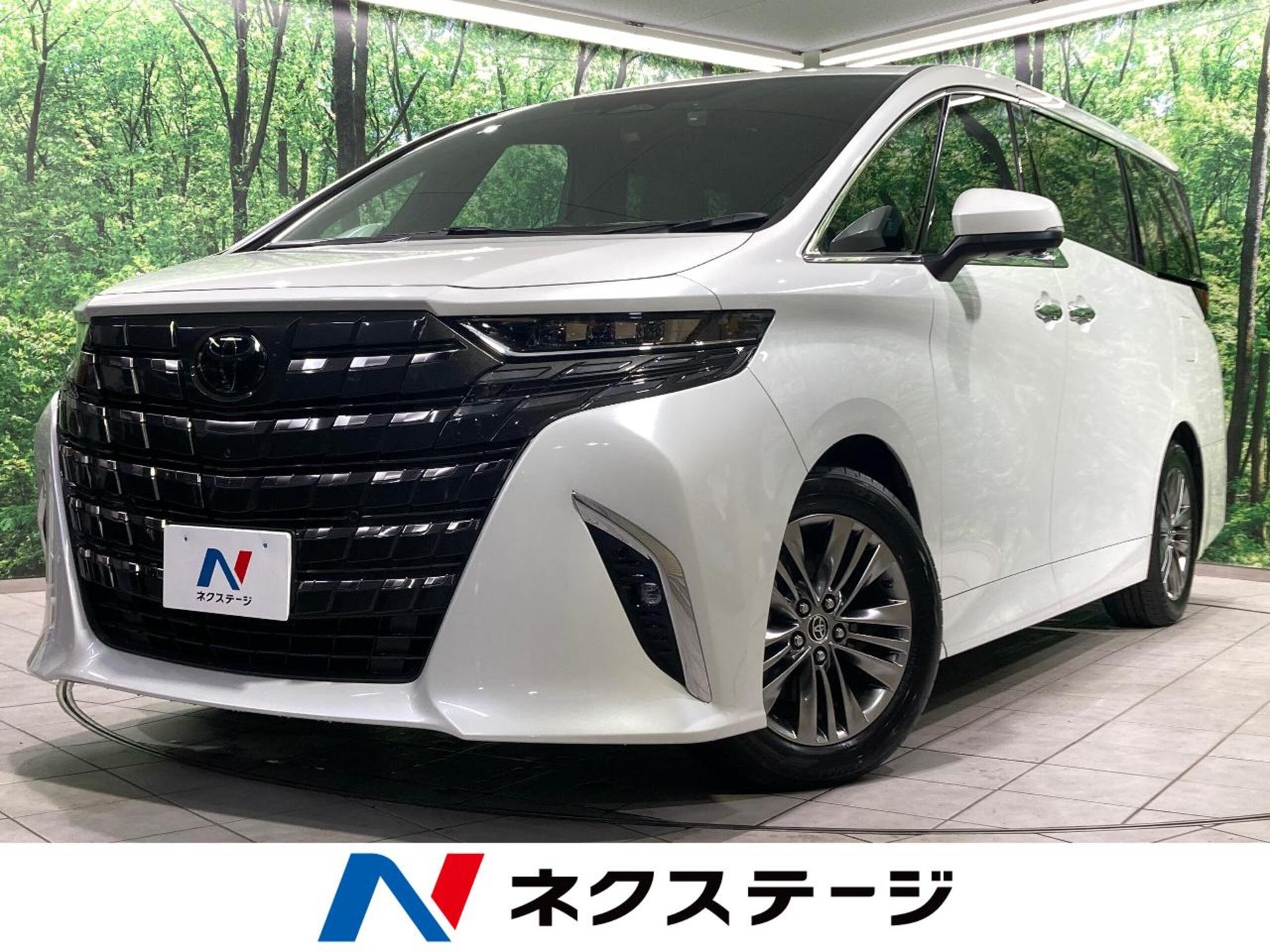 TOYOTA ALPHARD - View 1
