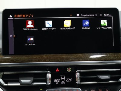 2022 BMW X3 缩略图 52