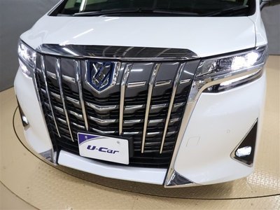 2021 TOYOTA ALPHARD thumbnail 32