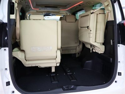 2021 TOYOTA ALPHARD thumbnail 30