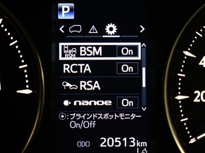 2021 TOYOTA ALPHARD photo 10