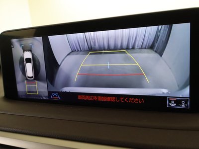 2021 Lexus RX — миниатюра 16