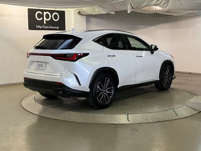 2023 Lexus NX 照片 8