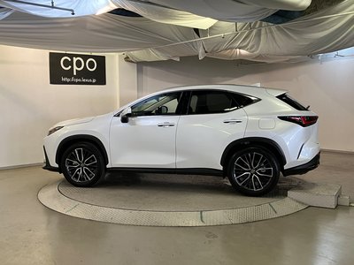 2023 Lexus NX 照片 6