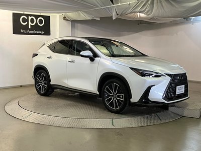 2023 Lexus NX 照片 10