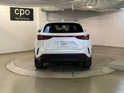 2023 Lexus NX 照片 7