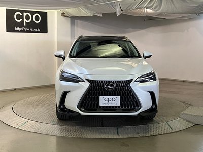 2023 Lexus NX 照片 5