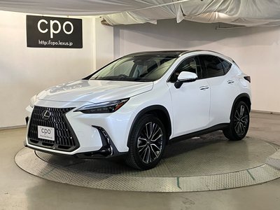 2023 Lexus NX 照片 1
