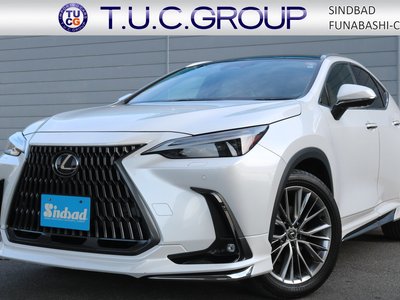 LEXUS NX - 1