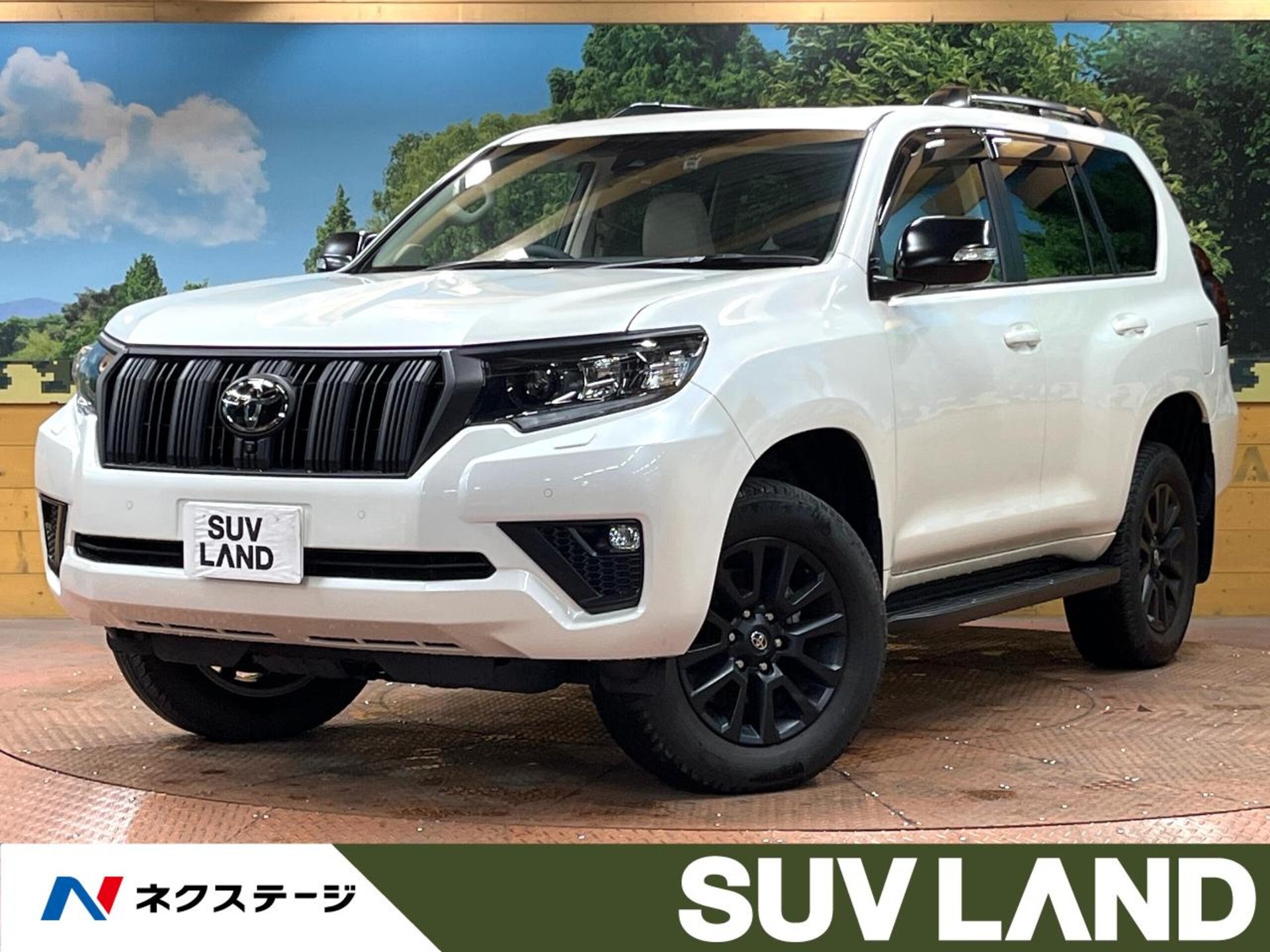 TOYOTA LAND CRUISER PRADO - View 1