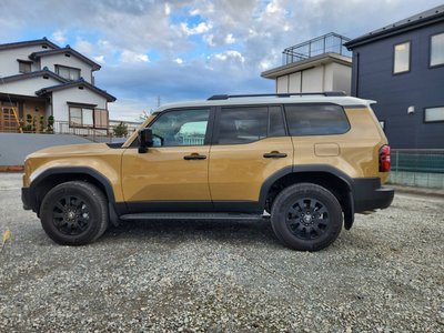 TOYOTA LAND CRUISER 250 - 3