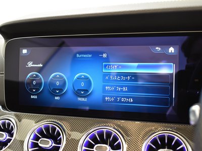 MERCEDES-BENZ E-CLASS AMG - 9