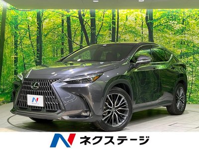 LEXUS NX - 1