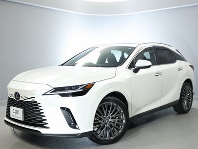 2024 Lexus RX photo 9