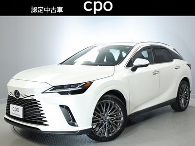 2024 Lexus RX photo 1