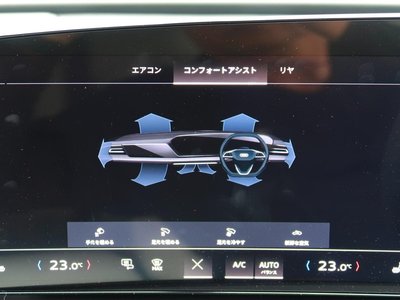 2025 AUDI A5 缩略图 13