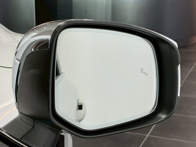 TOYOTA LAND CRUISER 300 - 5