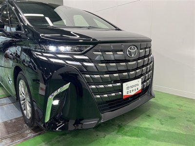 2025 Toyota ALPHARD 缩略图 11