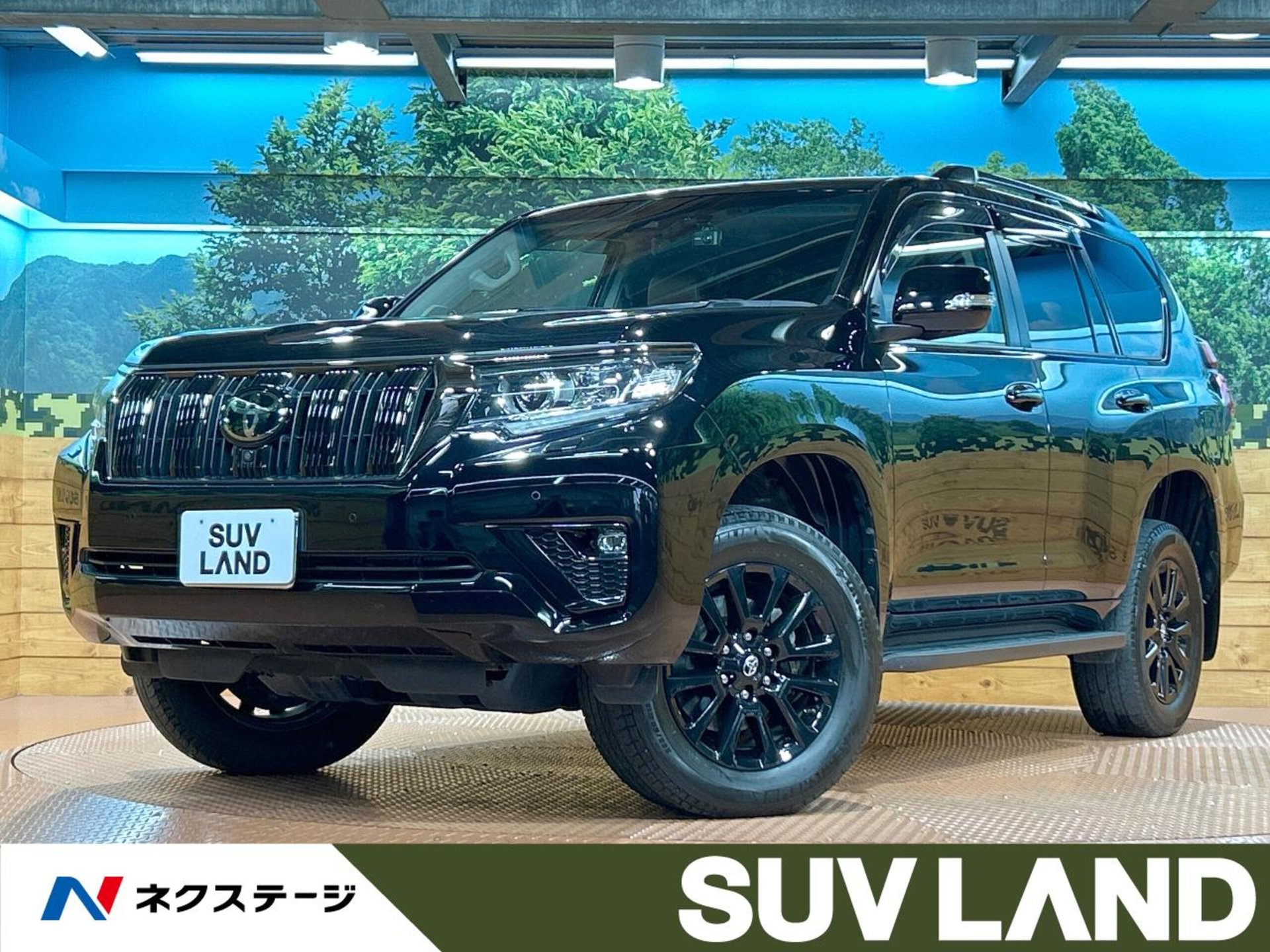 TOYOTA LAND CRUISER PRADO - View 1