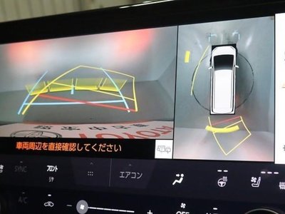 TOYOTA ALPHARD - 10