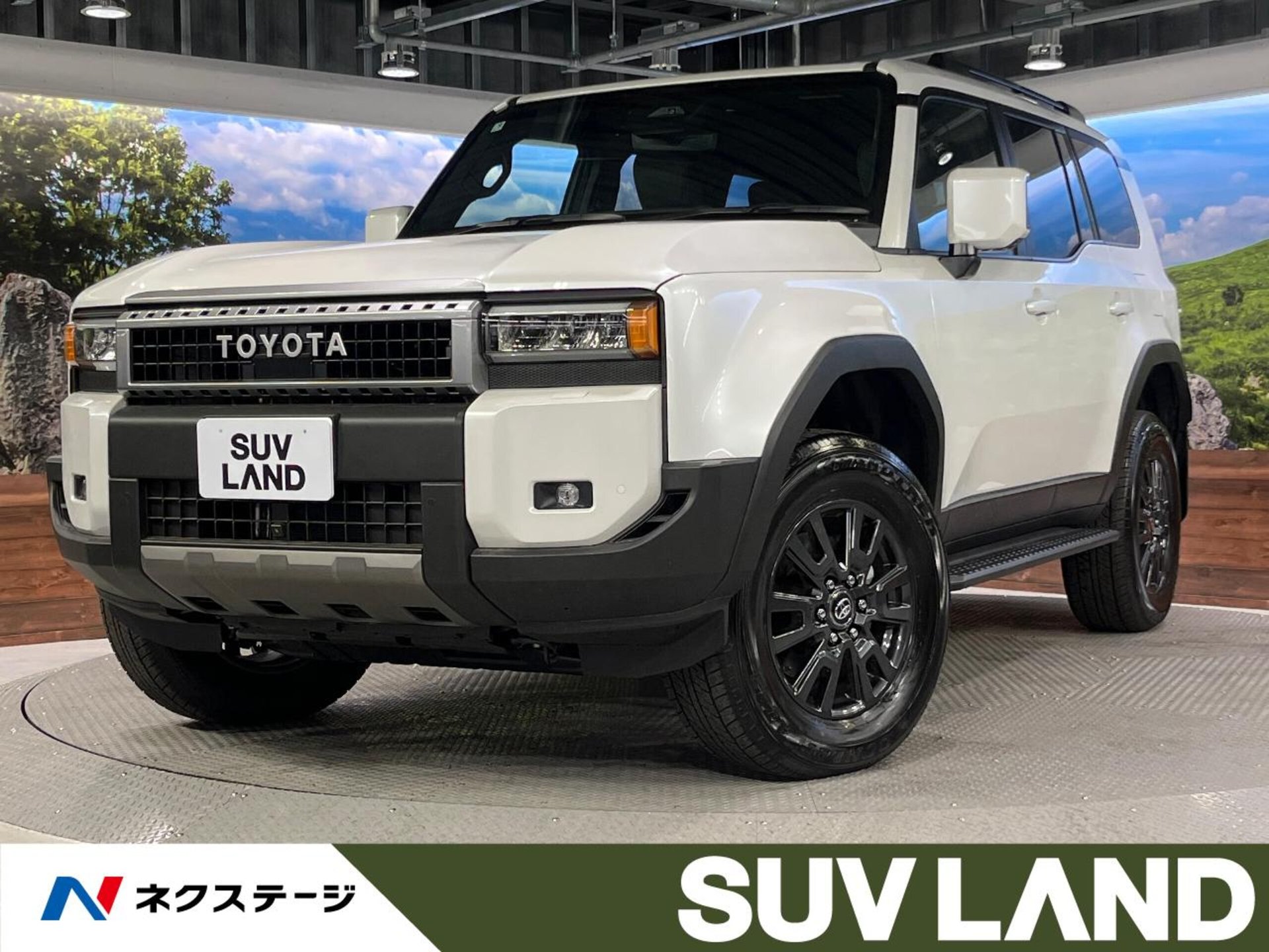 TOYOTA LAND CRUISER 250 - View 1
