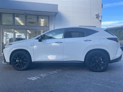 2023 Lexus NX 缩略图 4