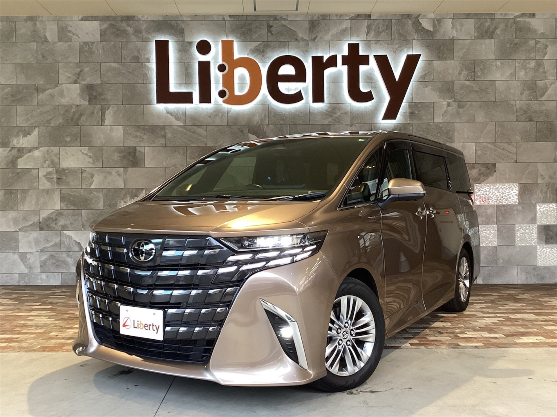 TOYOTA ALPHARD - View 1