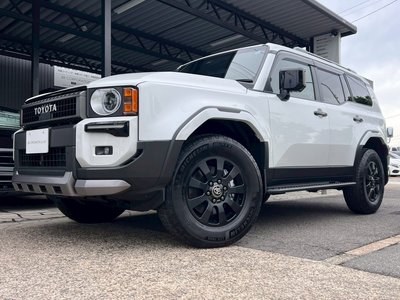 TOYOTA LAND CRUISER 250 - 2