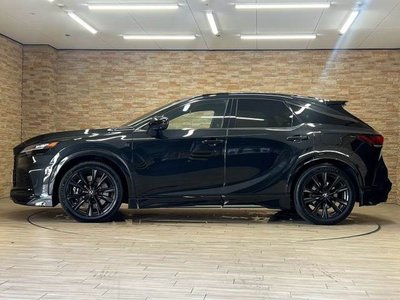 صورة مصغرة 17 لـ 2023 Lexus RX