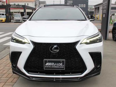 LEXUS NX - 2