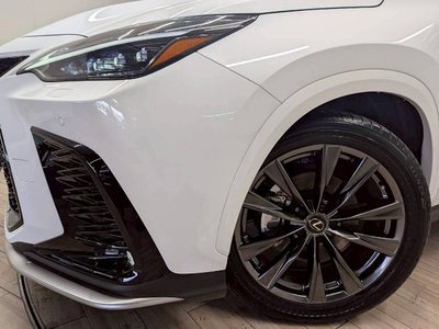 2023 Lexus NX 缩略图 29