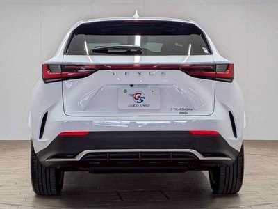 2023 Lexus NX 缩略图 16