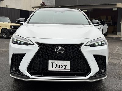 LEXUS NX - 10